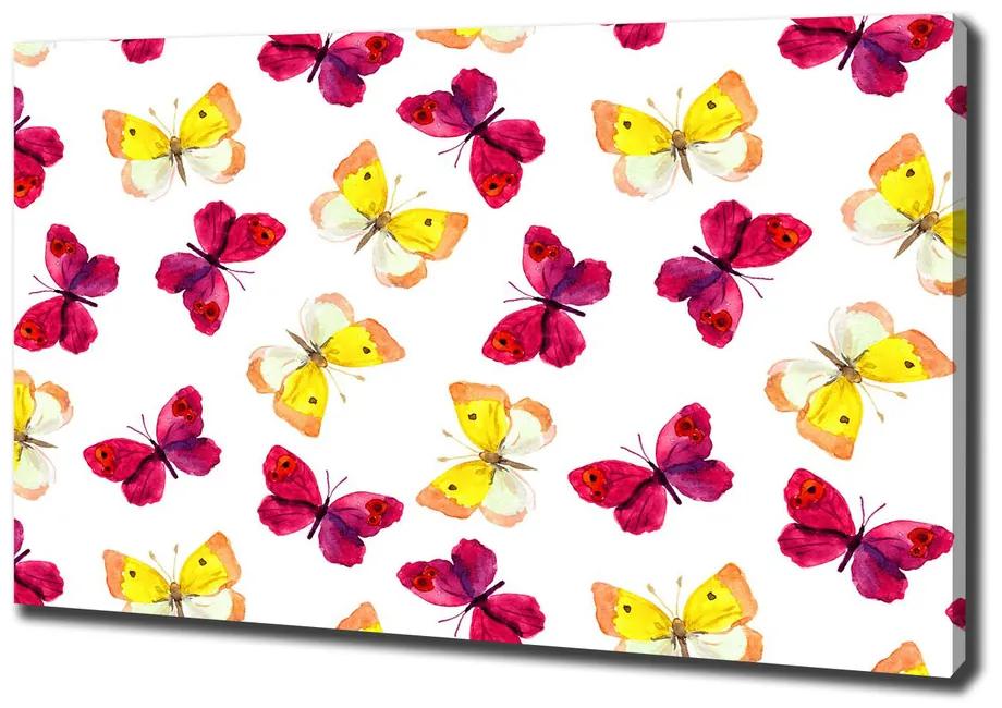 Vászonkép Pillangók és virágok pl-oc-100x70-f-96038679