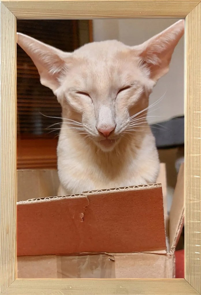 Klasszikus képkeret falra és asztalra, 20x30 cm, fa