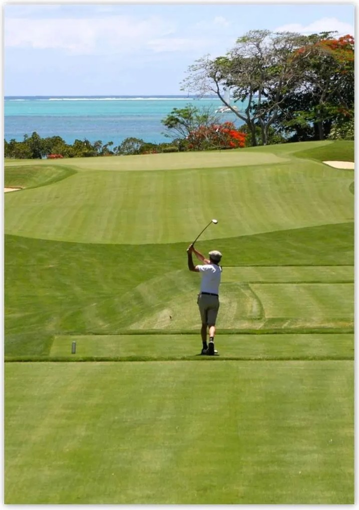 Poszterek 70x100 Golfozó a mezőn