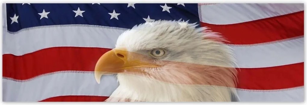 Poszterek 200x66 Freedom from Usa