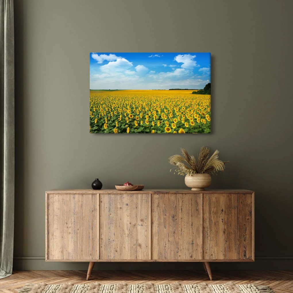Kép - napraforgó (90x60 cm)