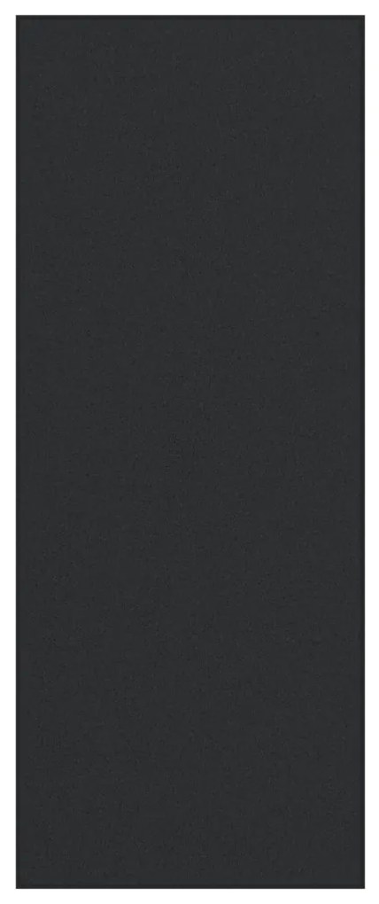 Ajtószőnyeg Fekete 120 x 300 cm Poliamid és PVC