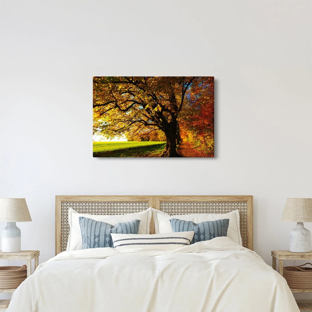Egy őszi fa képe (90x60 cm)