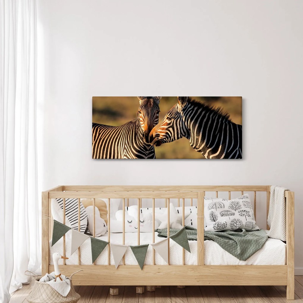 Kép - Két zebra (120x50 cm)