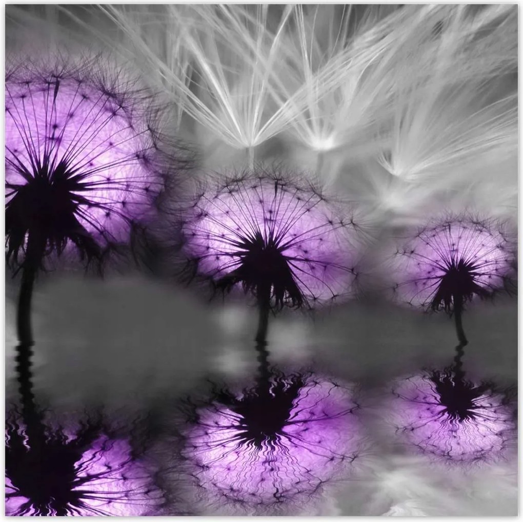 Poszterek 30x30 Tükröződés a vízben Sárkányok