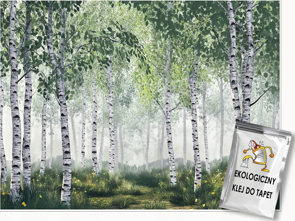 3D Fotótapéta Nyírfa Erdő Természet Fali Hálószoba Nappali 400x280