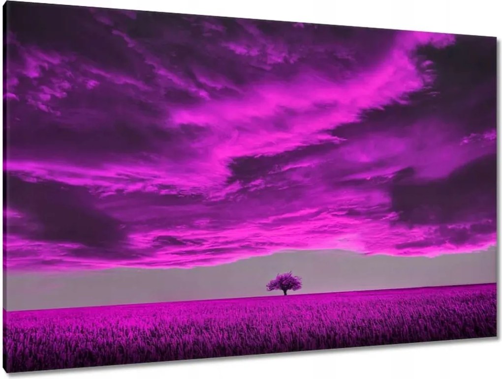 Festmények 120x80 Lila tájkép