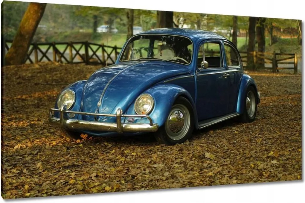 Vászonkép 120x70 Bogár Vw autó]