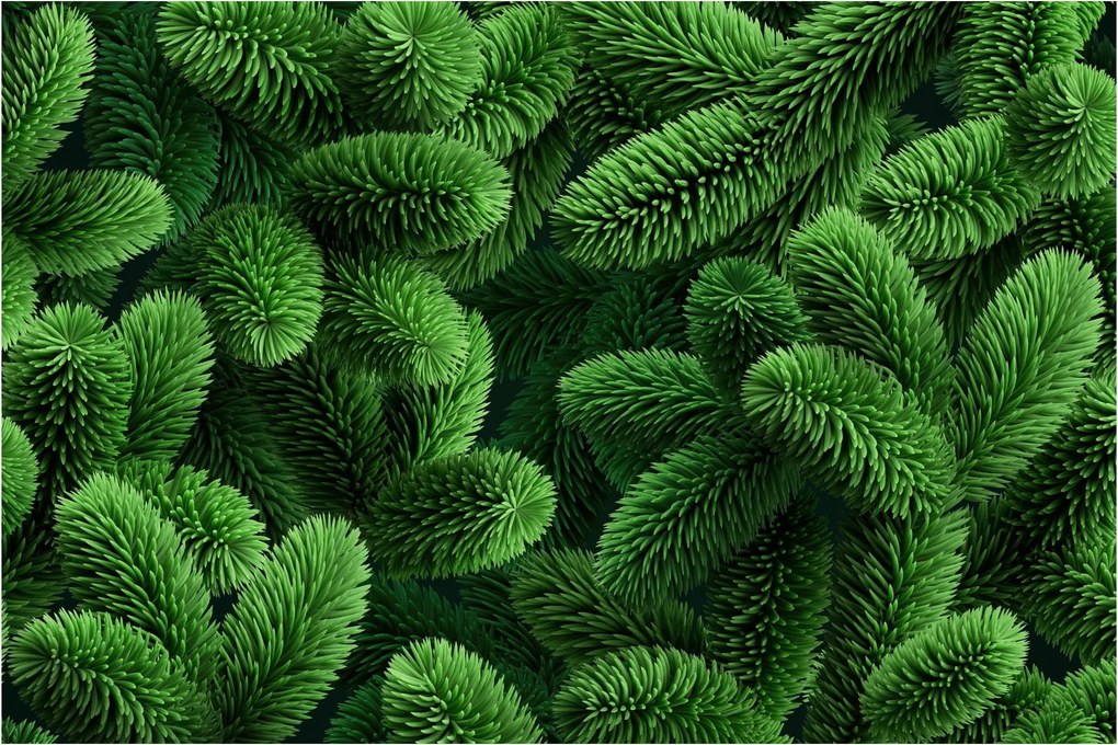 Kép - Tűlevelű gallyak (90x60 cm)