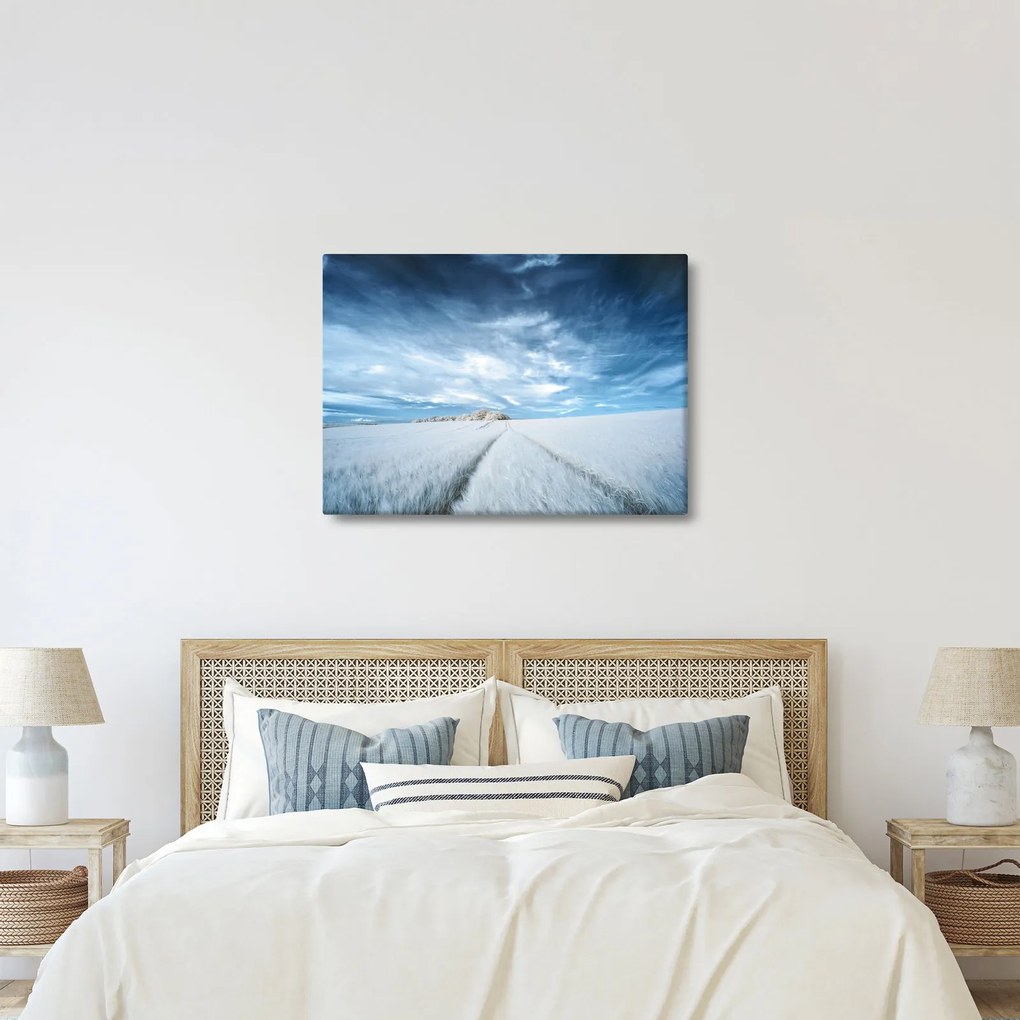 Mezőkép (70x50 cm)