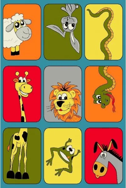 Kolibri szőnyeg 11380-120