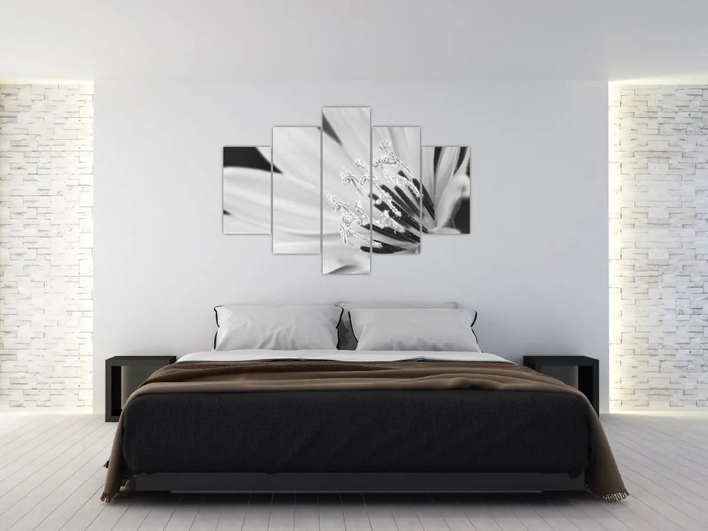 Kép - Fekete-fehér virág (150x105 cm)