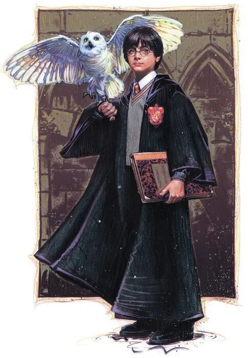 Művészi plakát Harry Potter with Hedvig - Art