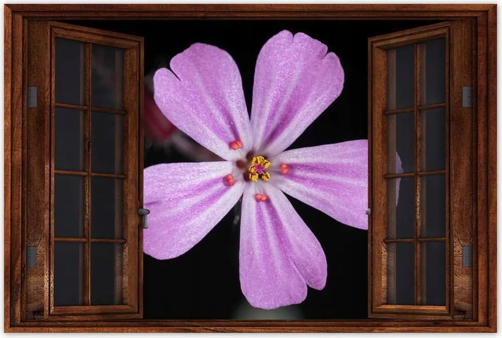 Poszterek 90x60 Nőnap Ajándék Love