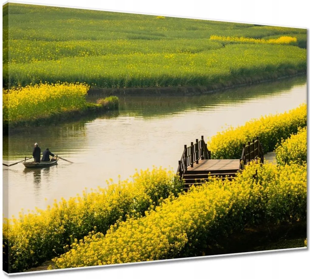 Vászonkép 50x40 Tájkép Látvány