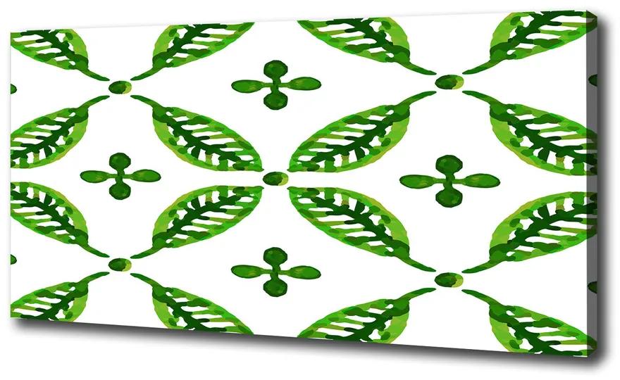 Fali vászonkép Zöld levelek pl-oc-100x50-f-95994789