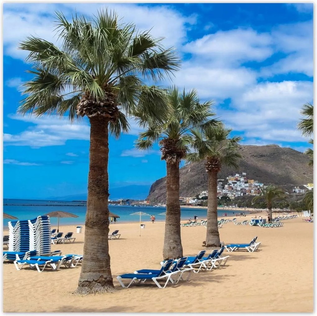 Poszterek 30x30 Nagy pálmafák a tengerparton