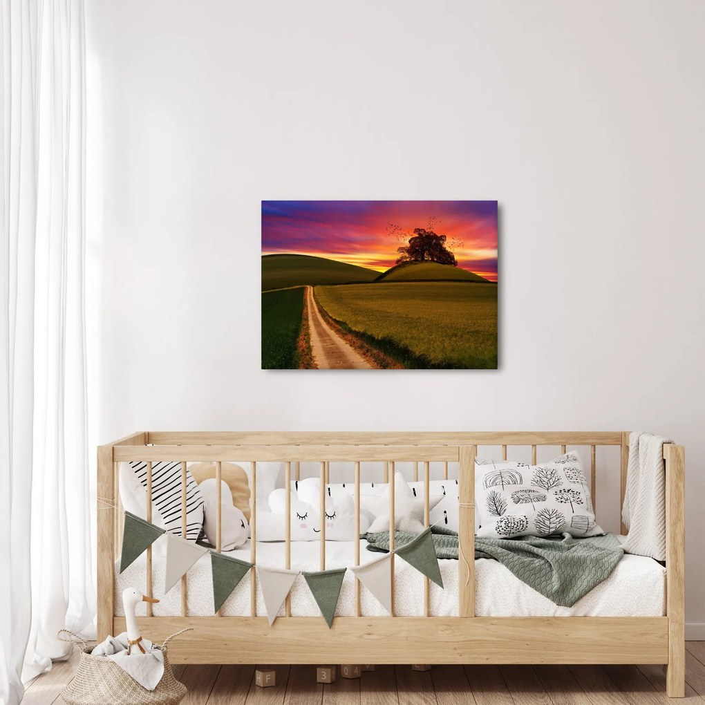 Mező és a színes ég képe (70x50 cm)