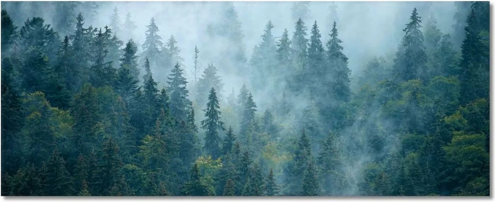 Fotótapéták 100x40 Erdő a ködben Utazás