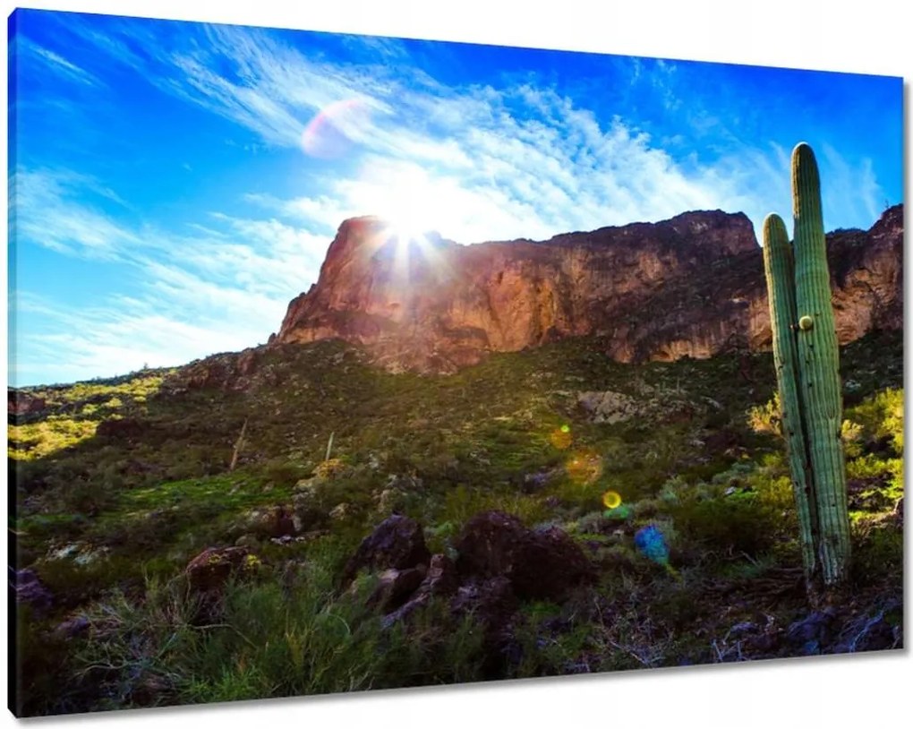 Vászonkép 100x70 Tájkép kaktuszokkal