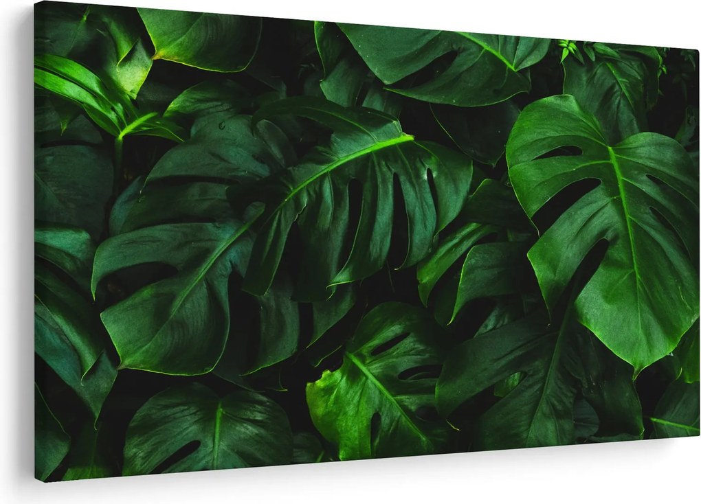 Monstery levelek képe (90x60 cm)