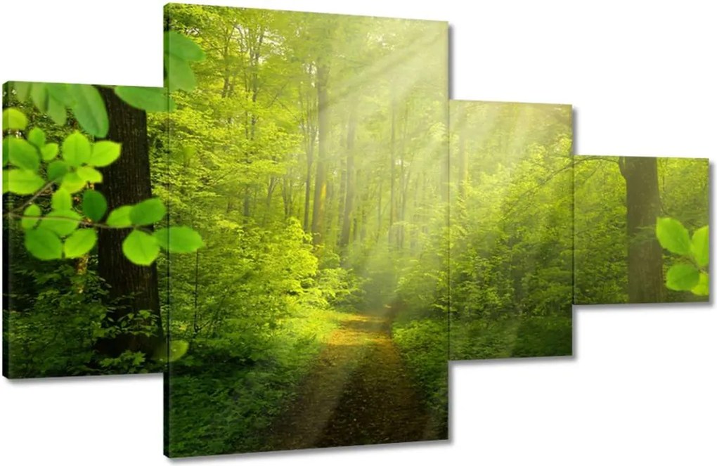 Vászonkép 130x80 Varázslatos erdő Sugárzás