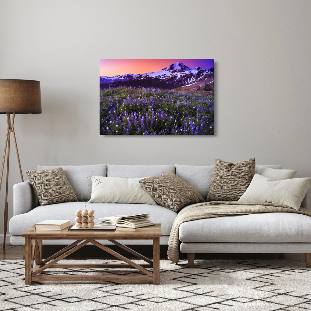 Kép - Vulkán és a virágok (90x60 cm)