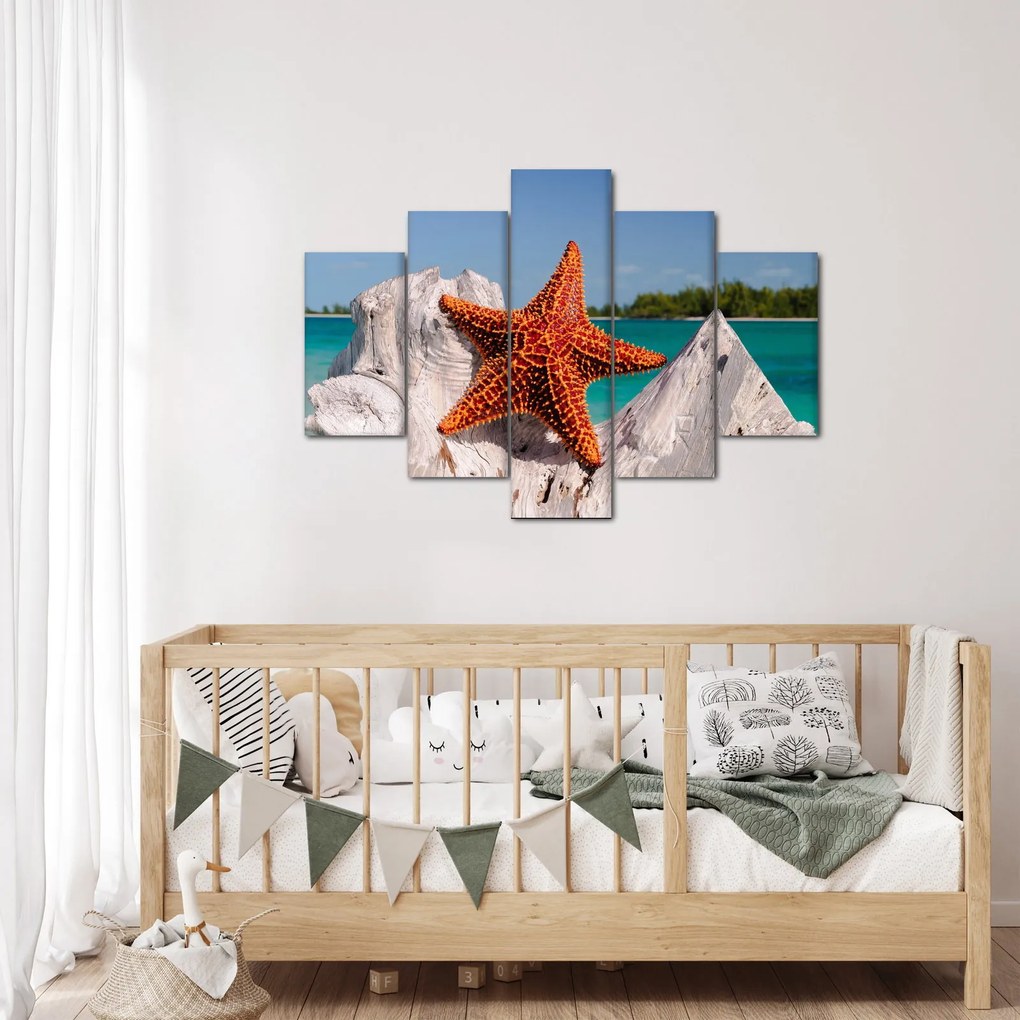 Egy tengeri csillag képe (150x105 cm)