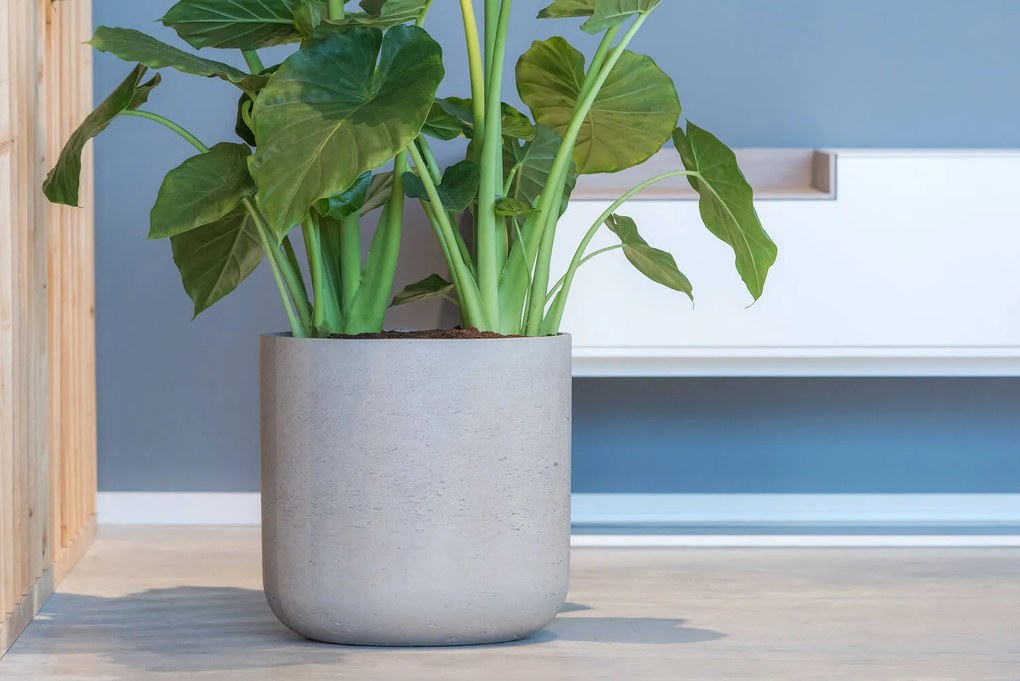 Charlie Planter, antik szürke, többféle méretben – Pottery Pots méret: H - h 24 cm, ⌀ 25 cm