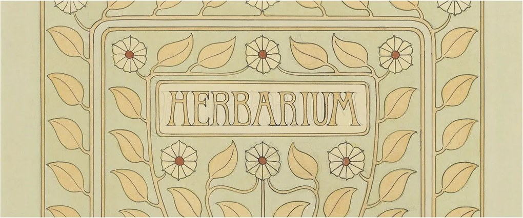 Divatos Flizelin Tapéta Fali Furnér Növényi dísz 250x104 Ragasztó