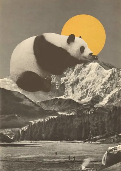 Reprodukció Panda's Nap into Mountains, Bodart, Florent