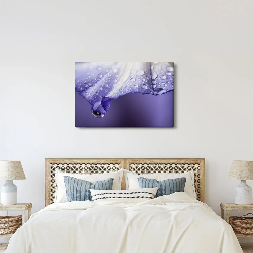Kép - Szirom cseppekkel (90x60 cm)