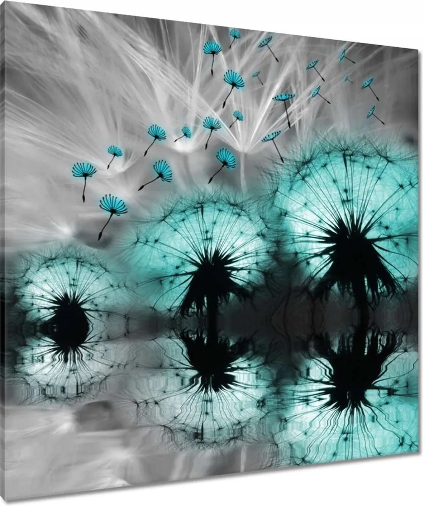 Vászonkép 90x90 Kék pitypangok