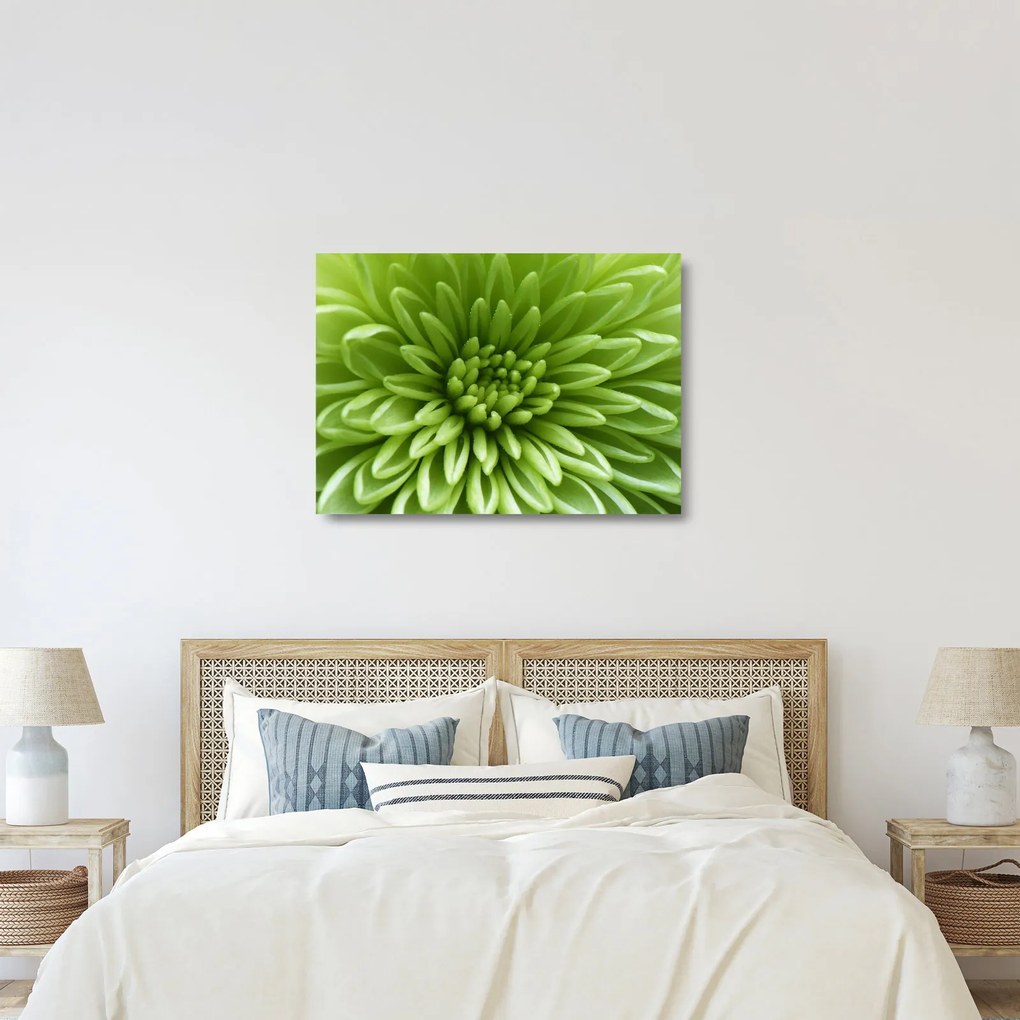 Üveg kép - Makro kép egy növényről (70x50 cm)