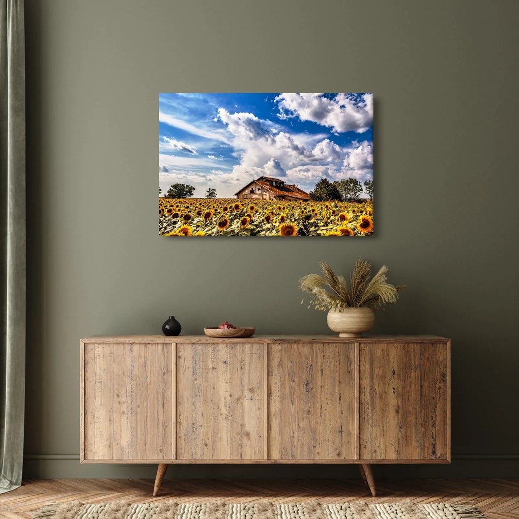 Napraforgó mező képe (90x60 cm)