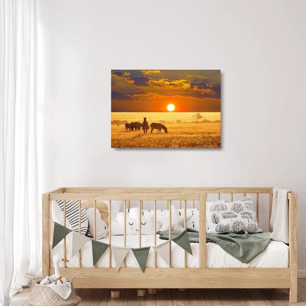 Üveg kép - Zebrák naplementével (70x50 cm)