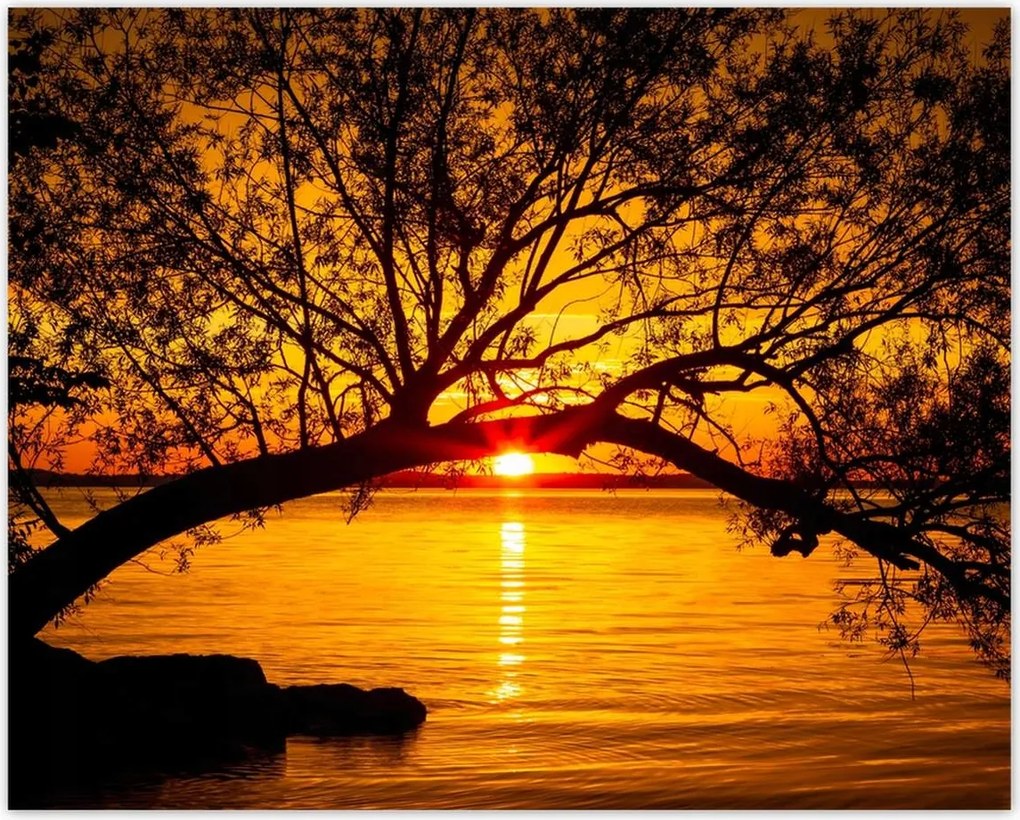 Poszterek 50x40 Tengerpart Fa Tenger