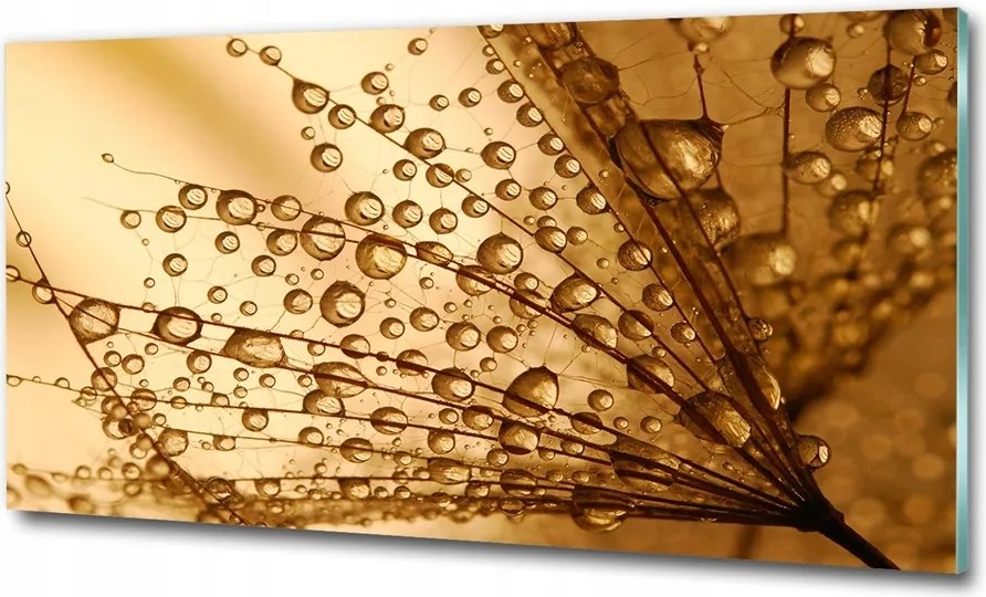 Fotótapéta falra edzett üveg Bazsarózsa 125x50