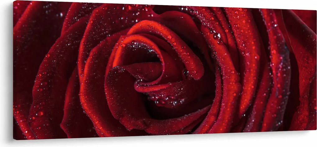 Kép - Vörös rózsa harmatcseppekkel (120x50 cm)