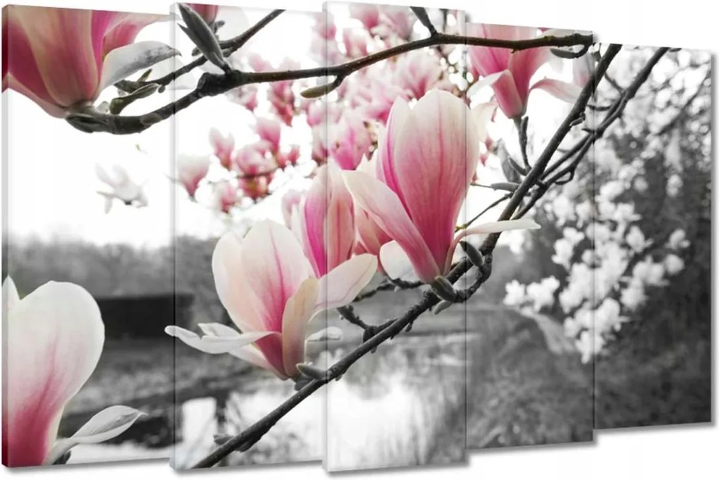 Vászonkép 150x95 Magnólia Virágok