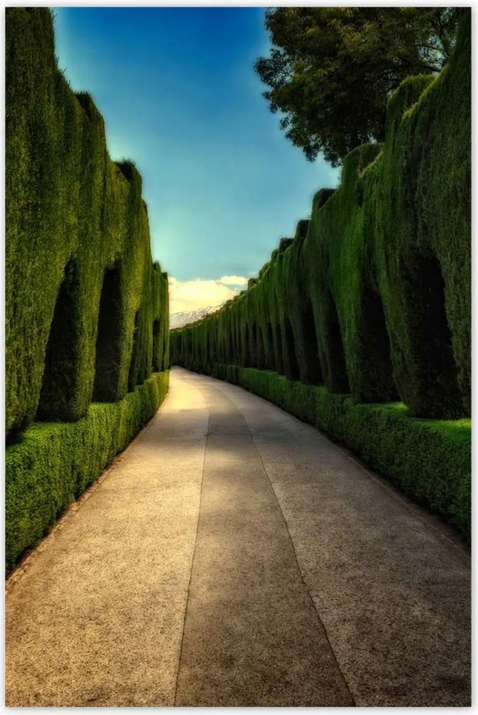 Poszterek 80x120 Tájkép Látvány