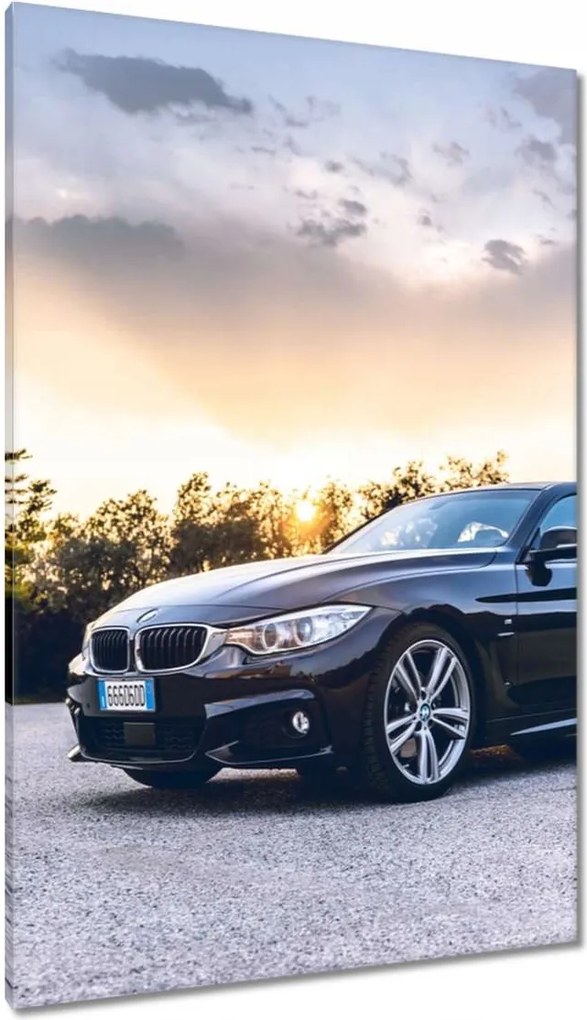 Vászonkép 80x120 Autó Bmw Autó Klasszikus