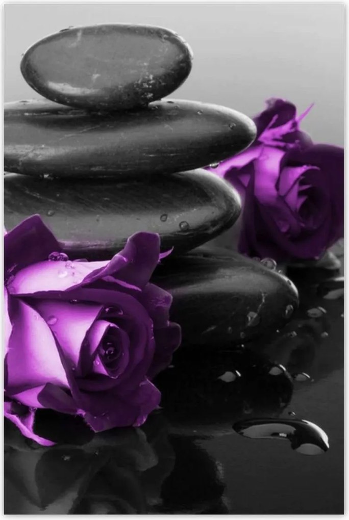 Poszterek 80x120 Lila rózsák Spa kő