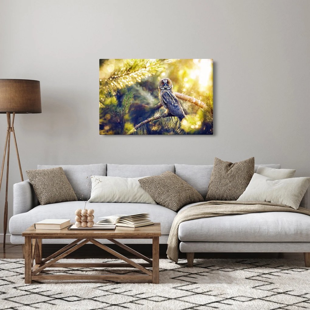 Egy bagoly képe a fán (90x60 cm)