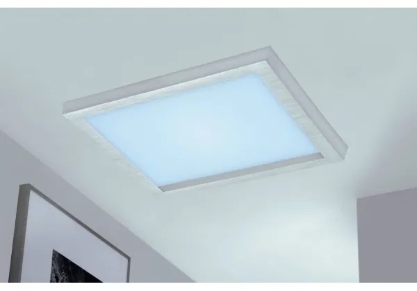 Briloner 7371-014 - LED dimmelhető mennyezeti lámpa LED/24W/230V 3000-6500K+ DO