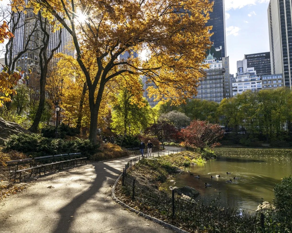 Poszter 50x40cm Ösvény a központi parkon át 5, Assaf Frank