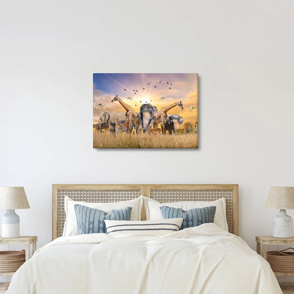 Kép - Afrikai állatok (70x50 cm)