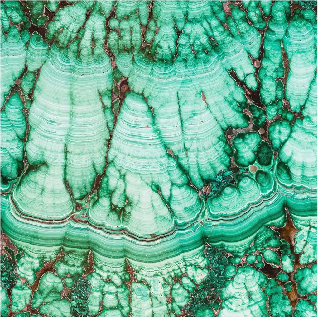 Flizelin tapéta Divatos 3D fali ragasztóval Zöld minták 250x250 Ragasztó