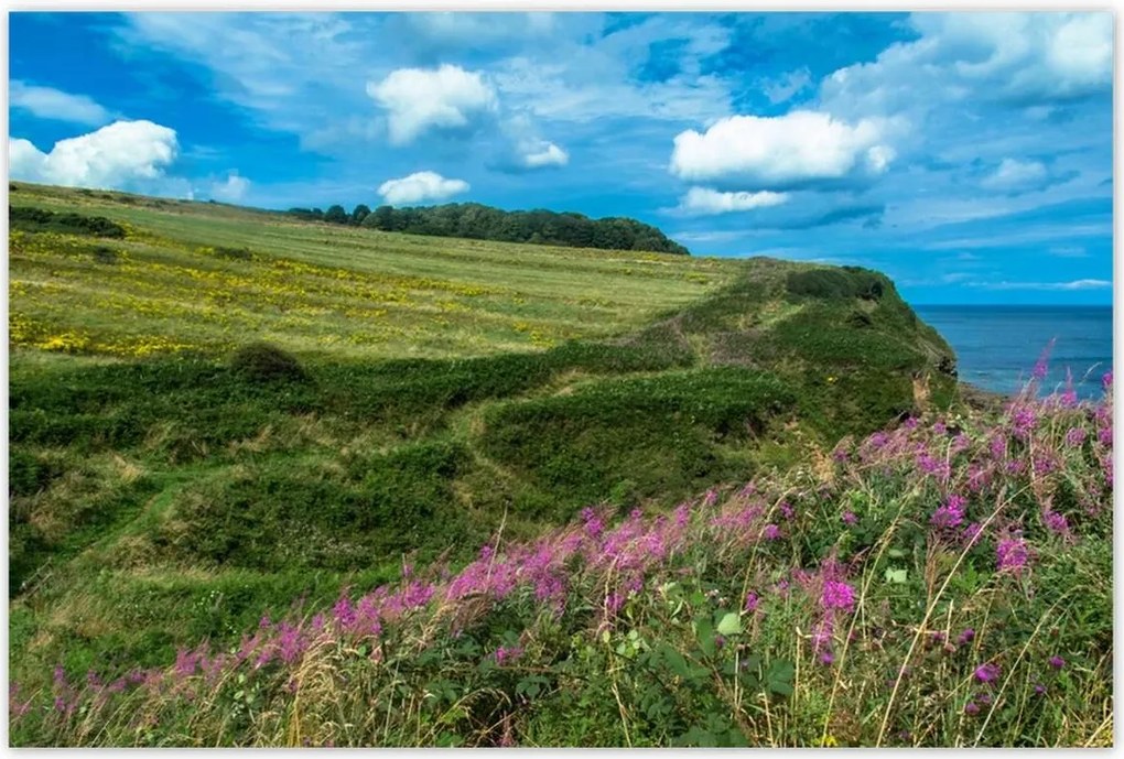 Poszterek 120x80 Virágos rét a tengerparton