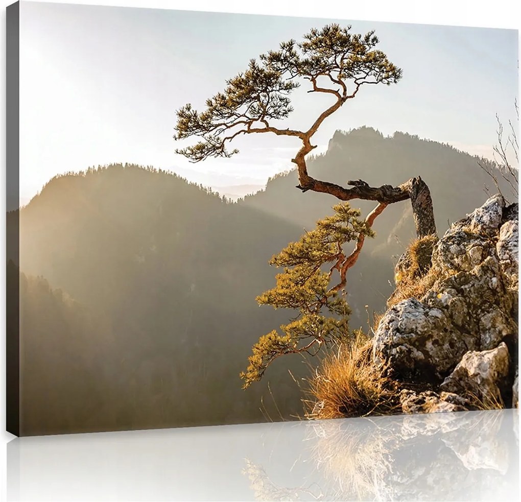 Falikép képek fa hegyek 100x75